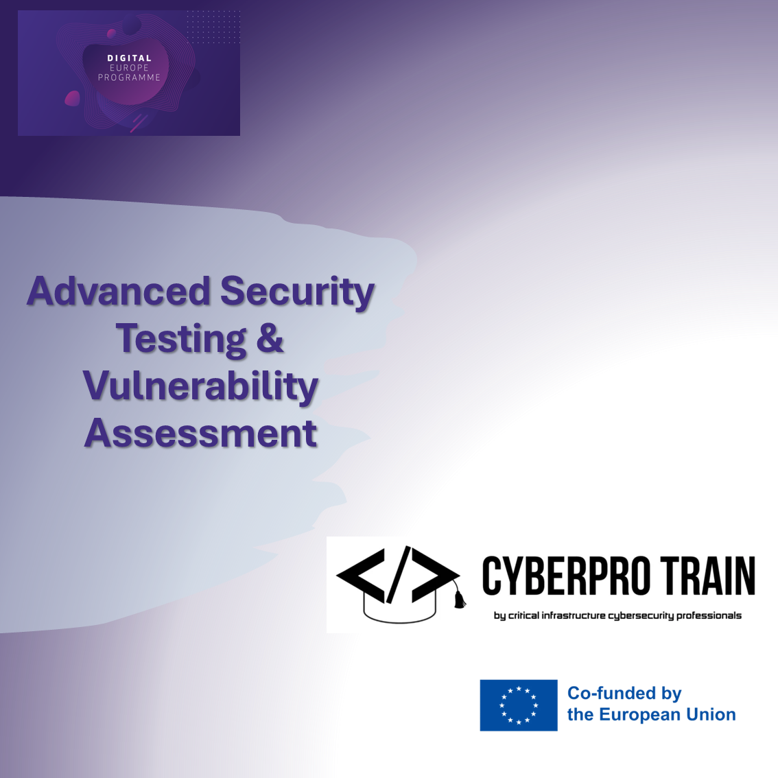 Advanced Security Testing & Vulnerability Assessment (Cyber Pro Train)